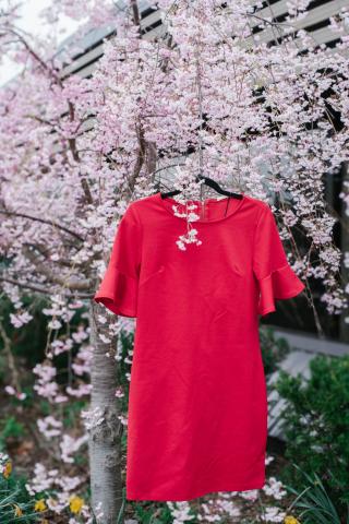Red Dress at Town Hall