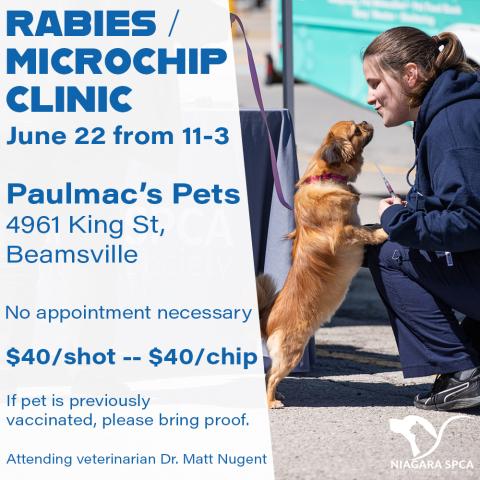 Niagara SPCA Dog and Cat Rabies and Microchip Clinic | Town of Lincoln